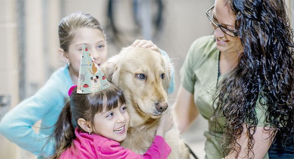 Two small children with party hats and a woman hug a Golden Retriever.
