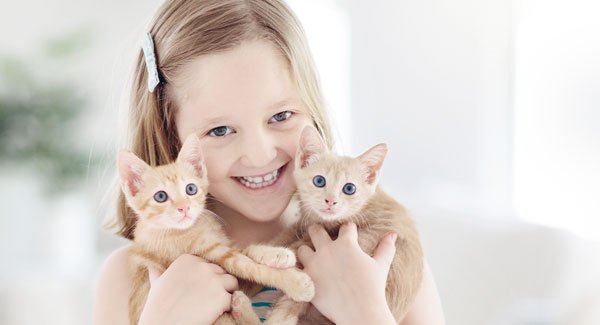 A young child smiles and holds two orange kittens.