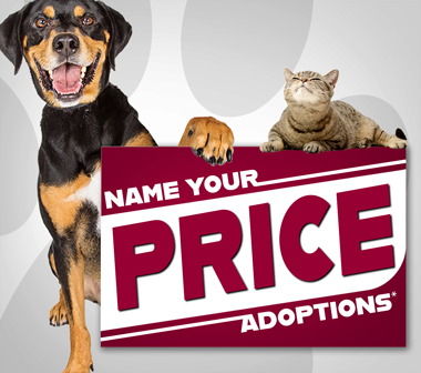 "Name Your Price" Adoption Promotion at HSTB