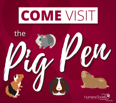 Come visit the HSTB Pig Pen!