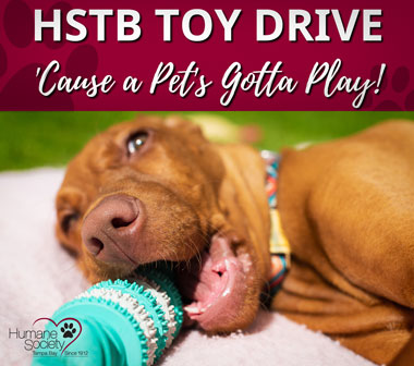 HSTB toy drive