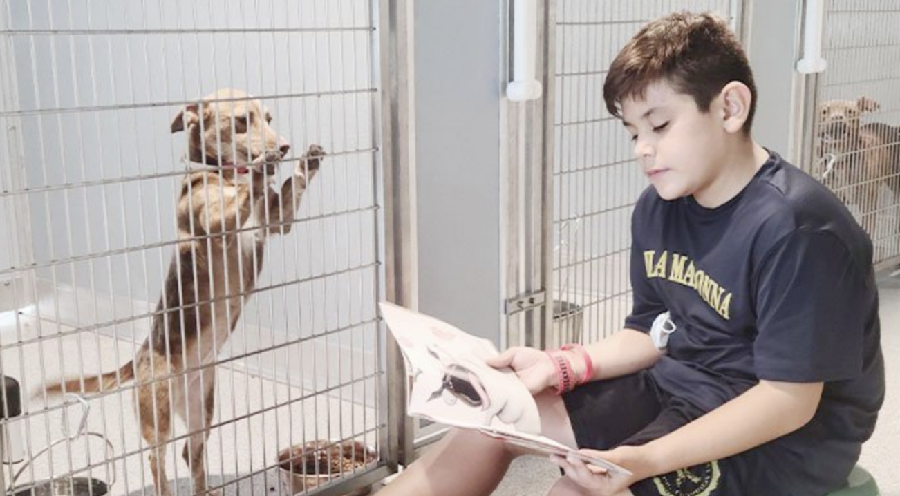 A little boy sits outside of a cage and reads to a small dog