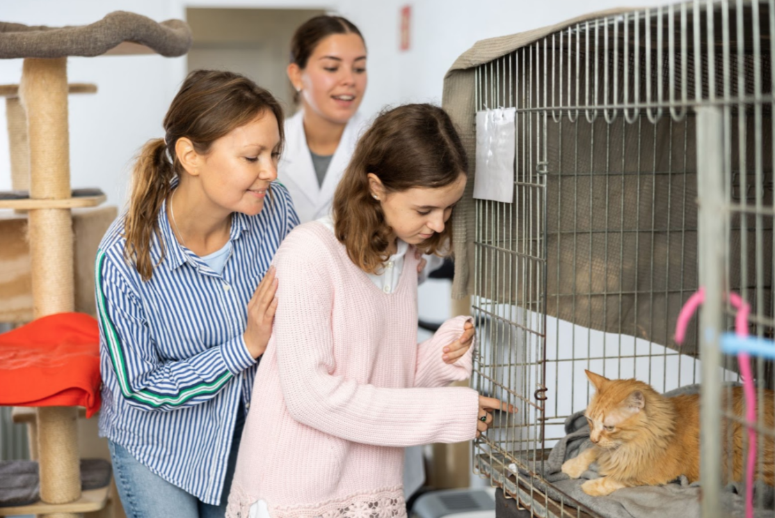 A mother, daughter, and veterinarian look at an orange cat