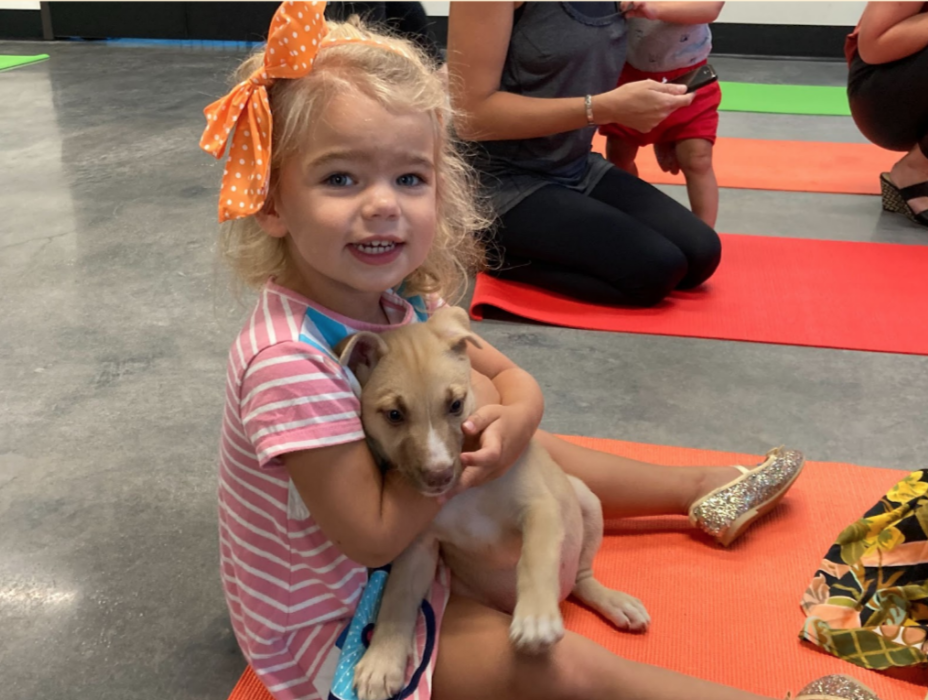 A little girl sits on the floor and holds a puppy