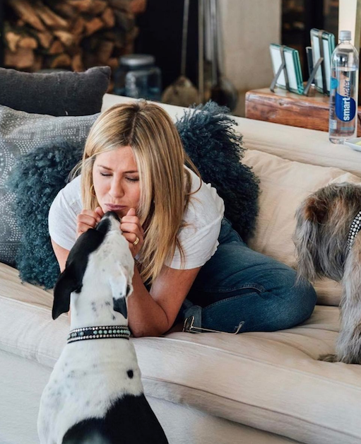 Jennifer Aniston scratches her black and white pit bull on the head
