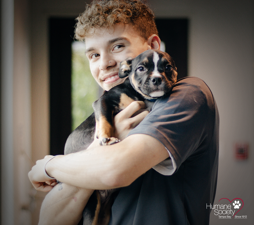 An HSTB emoloyee gently cradles a small dog in his arms, displaying a heartwarming bond between human and pet.