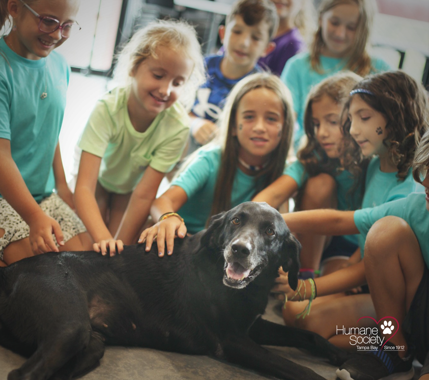 A group of smiling kids are petting a happy black dog