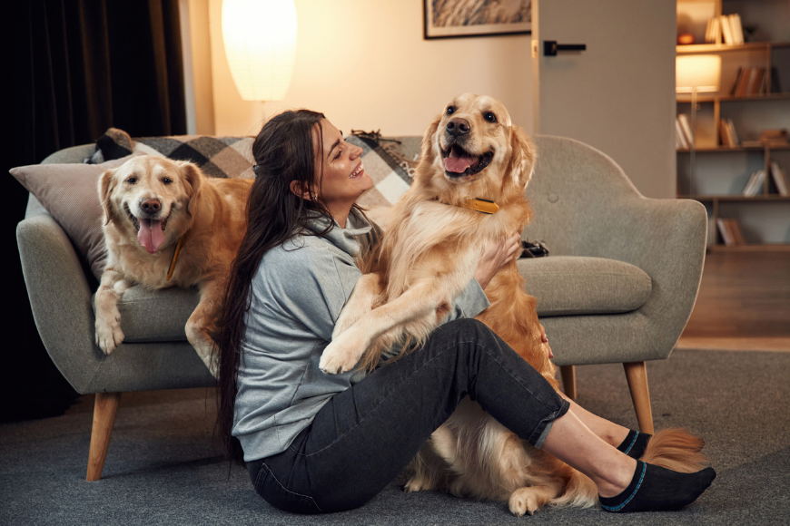 lady sitting on the floor with her back against the couch. On the couch, a golden retriever lays looking at the camera and the lady is holding another golden retriever looking at them while the dog is looking off in the distance