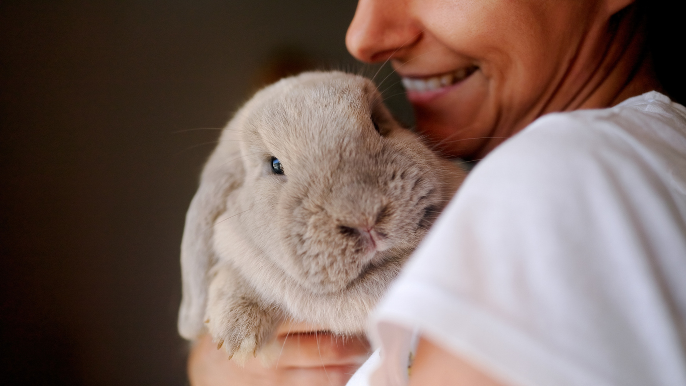 Happy woman holding her pet rabbit