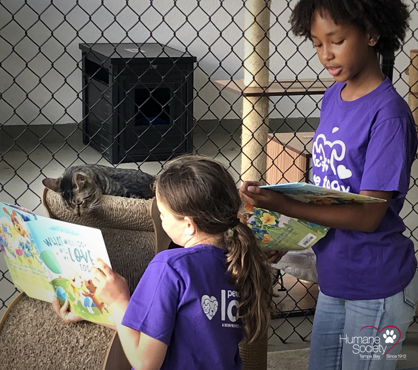 Two kids read a story book to a cat at the Humane Society of Tampa Bay as part of the Paws for Literacy program.