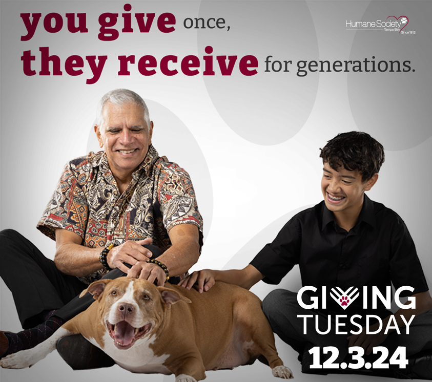 A grandpa and grandson both pet a senior dog at HSTB.