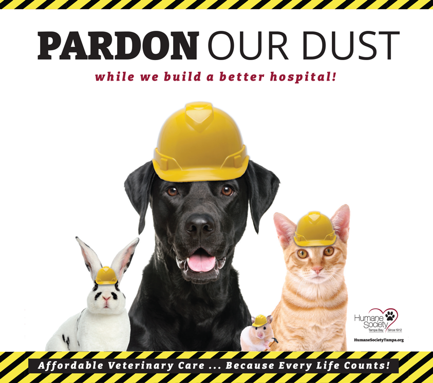 A black and white rabbit, black dog, orange cat, and tan hamster all have hard hats on!